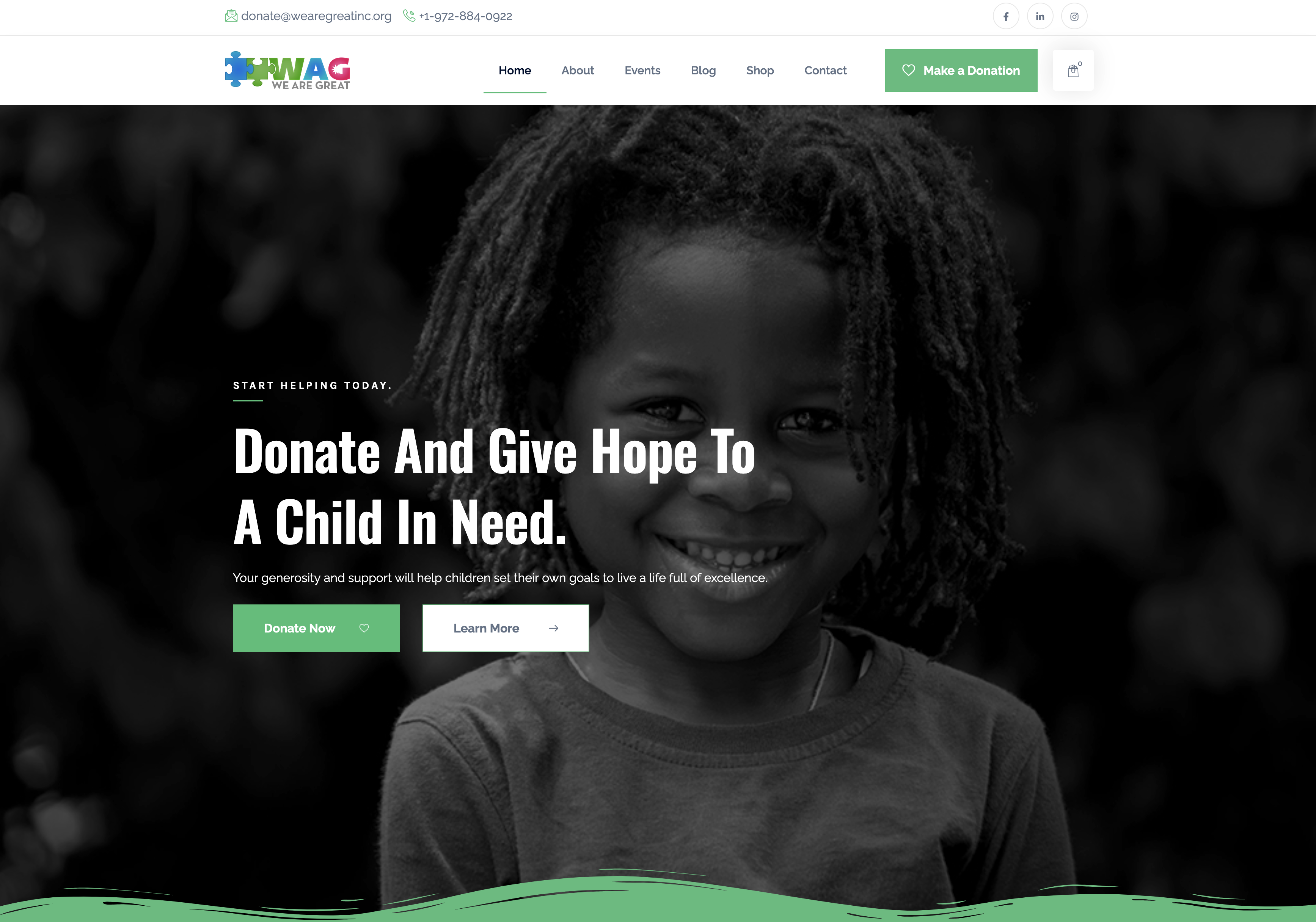 WAG Website Development